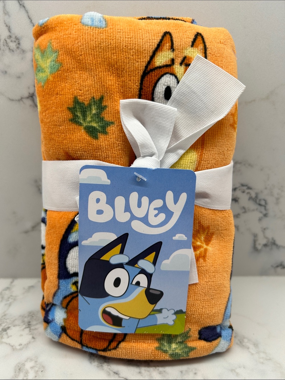 Disney Bluey Fall Hand Towels 2 Pack
